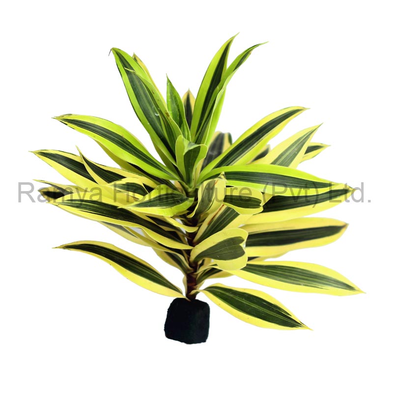 Ramya Horticulture