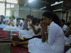 Ramya Horticulture