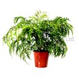item9
